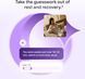 Фітнес-браслет Google Fitbit Air Lavender 100582 фото 7